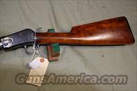 Winchester 1906  Winchester Rifles - Modern Pump