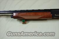 BROWNING GOLD SPORTING CLAY  Browning Shotguns > Autoloaders > Trap/Skeet