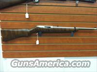 New Ruger 10/22 Stainless with a Nice stock from the factory  Ruger Rifles > 10-22