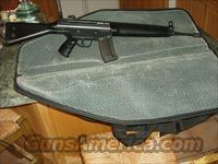 HK93  Heckler & Koch Rifles > Tactical