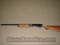 BROWNING BPS 20 GA   Browning Shotguns > Pump Action > Hunting
