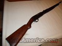 Remington M14, .32 Remington  Remington Rifles - Modern > Other
