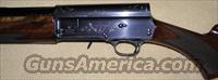 Browning Auto 5 Magnum Twelve  Browning Shotguns > Autoloaders > Hunting