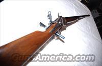 Charles Daly mini Sharps in 38-55  Charles Daly Rifles > Bolt