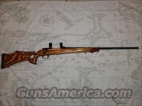 CUSTOM 375 H&H WILDCAT w/CHARLES DALY ACTION  Custom Rifles > Bolt Action