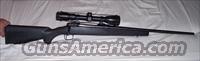 Savage 110 270 Caliber Synthetic Stock  Savage Rifles > Model 95/99 Family