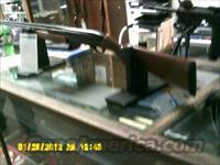 Winchester1200  Winchester Shotguns - Modern > Pump Action > Hunting