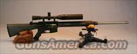 DPMS Custom AR-15  AR-15 Rifles - Small Manufacturers > Complete Rifle