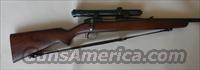 Remington 722 .257 Roberts  Remington Rifles - Modern > Model 700 > Sporting