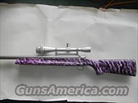 Nesika Bay Model 69 Dan Dowling  A Misc Rifles