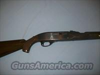 Remington Nylon 66 Seneca Green -1959  Remington Rifles - Modern > .22 Rimfire Models