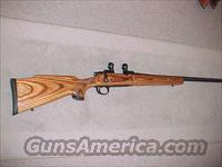 Remington 700 Varmint  rifle 223 Rem  Remington Rifles - Modern > Model 700 > Sporting