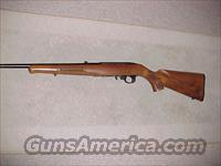 Ruger BoyScout Commerative rifle 22LR  Ruger Rifles > 10-22