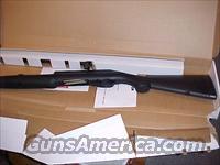 Benelli Super  Mag 12ga shotgun  Benelli Shotguns > Tactical