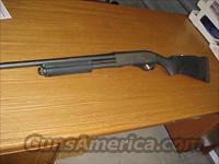 Remington 870 Tactical Home Defense 12  Remington Shotguns  > Pump > Tactical