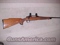 Remington 700 BDL rifle 30-06 caliber  Remington Rifles - Modern > Model 700 > Sporting