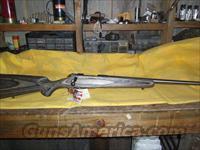 Kimber Model 84 Pro-Varminter  Kimber of America Rifles