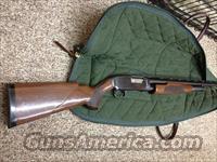 Winchester Model 12 pump, 12 gauge( 3" / 30" )  Winchester Shotguns - Modern > Pump Action > Hunting