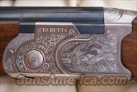 Used Beretta 12 Bore/gauge Shotgun for sale  Beretta Shotguns > Pump Action