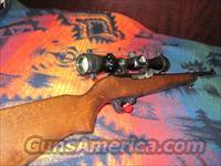 Ruger 10/22 Magnum  Ruger Rifles > 10-22