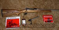 WINCHESTER MODEL 70 COYOTE STAINLESS 22-250  Winchester Rifles - Modern Bolt/Auto/Single > Model 70 > Post-64