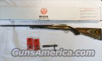 Ruger 77/17 .17 Hornet  Ruger Rifles > Model 77