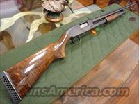 Mod-12 20ga  Winchester Shotguns - Modern > Pump Action > Hunting
