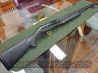 Cordoba #10636  Benelli Shotguns > Sporting