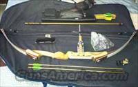 Stemler Target Bow  Archery > Bows > Compound