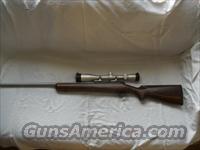 Winchester 70 Short Action Varminter  Winchester Rifles - Modern Bolt/Auto/Single > Model 70 > Post-64