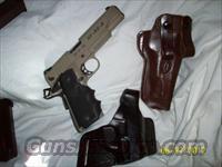 1911 Para P-14 Special Forces 101 Infintry Div. .45  1911 Pistol Copies (non-Colt)