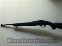 Ruger 10-22 .22Lr  Ruger Rifles > 10-22