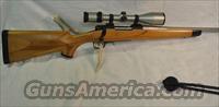 McWhorter 300WSM Accurate Innov. Zeiss  MN Misc Rifles
