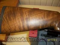 Beretta 391 20GA  Urika  Beretta Shotguns > Autoloaders > Hunting