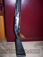 Charles Daly 20 ga Field Auto  Charles Daly Shotguns > Auto