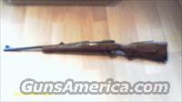 Rare Winchester model 70 .225 Win.  1965  Mint   Winchester Rifles - Modern Bolt/Auto/Single > Model 70 > Post-64