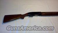 Winchester Model 50 Featherweight Shotgun  Winchester Shotguns - Modern > Autoloaders > Hunting