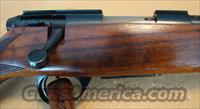 Sako M78 22 Hornet rifle  Sako Rifles > Other Bolt Action