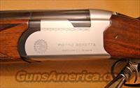 Beretta S55 12 gauge O/U  Beretta Shotguns > O/U > Hunting
