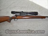 pre 64 model 70   Winchester Rifles - Modern Bolt/Auto/Single > Model 70 > Pre-64