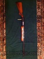 Browning B-80  Browning Shotguns > Autoloaders > Hunting