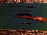 Mauzer 66S Double set triggers   Mauser Rifles > German