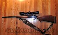 243 WIN.  XYZ Misc Rifles