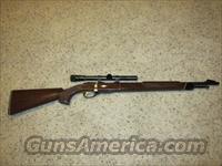 Remington Nylon 12  Remington Rifles - Modern > .22 Rimfire Models