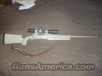 Sniper Custom .308 Bolt Action  Guns > Rifles > Custom Rifles > Bolt Action