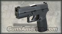 Sig Sauer P250 Full Size .45 ACP  Sig - Sauer/Sigarms Pistols > P250