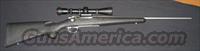 Remington Model Seven (Model 7) SS .308  Remington Rifles - Modern > Bolt Action Non-Model 700 > Sporting