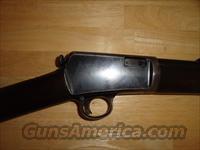 Winchester Model 1903 22 Win. Auto  Winchester Rifles - Modern Bolt/Auto/Single > Autoloaders