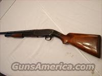 Winchester Model 12 Nickel 20ga 1928 Low Res !  Guns > Shotguns > Winchester Shotguns - Modern > Pump Action > Hunting