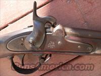Springfield 1842 musket civil war era PRICE REDUCED  Antique (Pre-1899) Rifles - Perc. Misc.